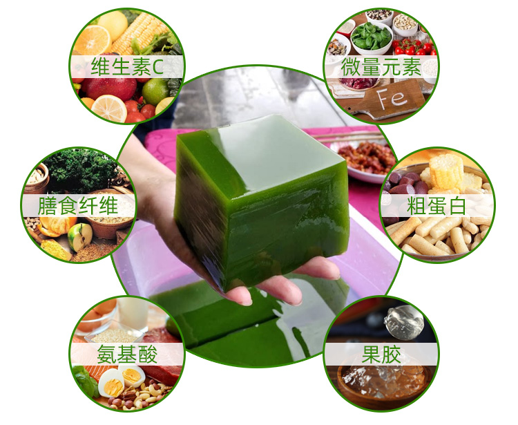 奇芝蘭樹葉豆腐豆腐柴觀音豆腐