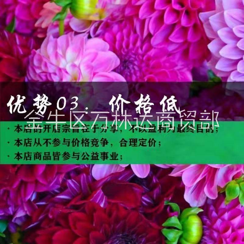 種菜大棚蔬菜種植水果樹栽培技術(shù)大全無(wú)土植物視頻教程資料匯總