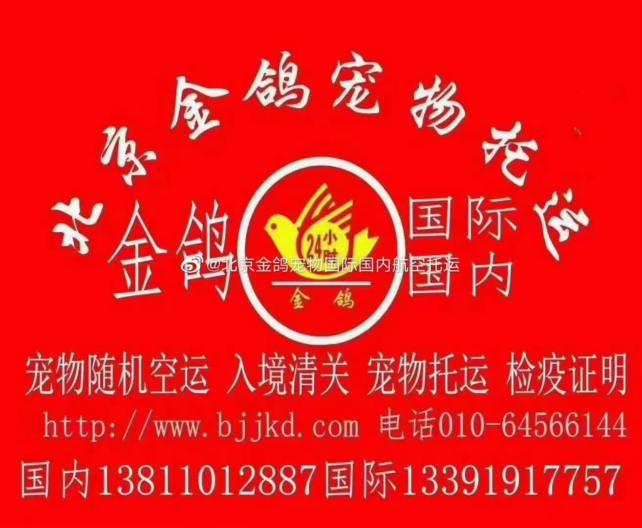 北京航空快遞 北京寵物托運 北京航空貨運 北京航空運輸 北京航空托運 北京寵物空運 北京金鴿航空快遞有限公司