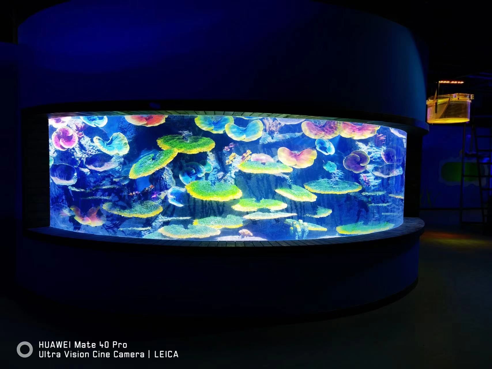 大型魚缸工程找哪家公司靠譜？