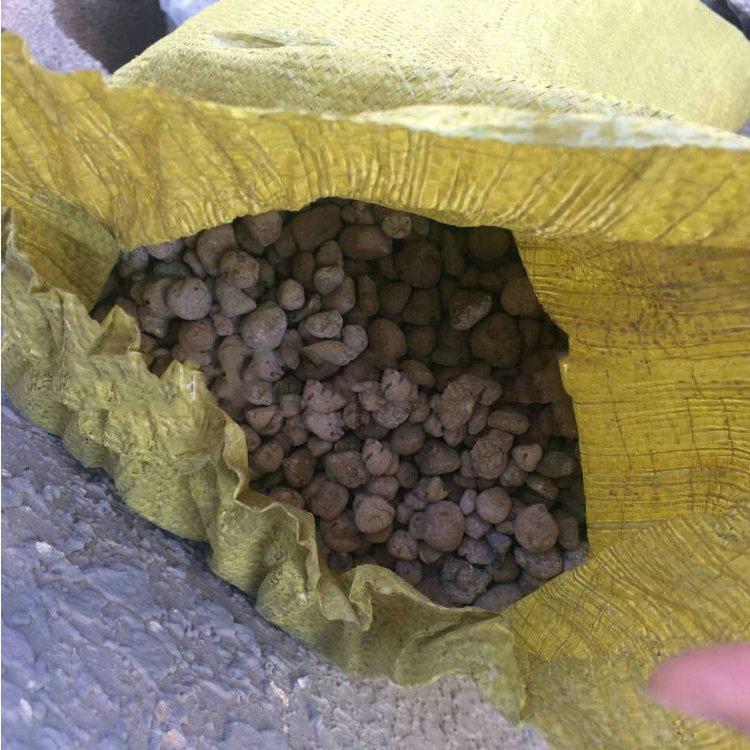 信祥 工程陶粒籽 建筑頁巖陶粒 粘土陶粒籽廠家