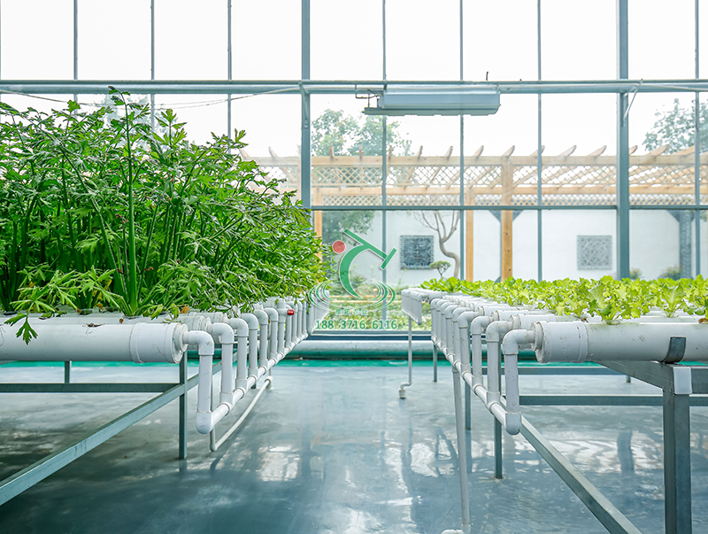 連棟玻璃溫室大棚設(shè)計(jì)建設(shè)供應(yīng)商  連棟玻璃溫室大棚設(shè)計(jì)建設(shè)價(jià)格