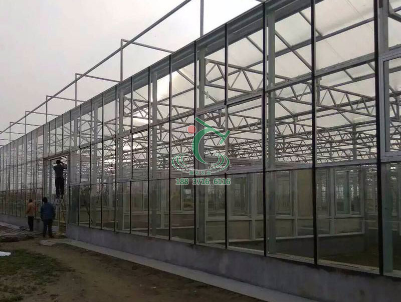 玻璃溫室大棚建造價(jià)格  玻璃溫室大棚建造廠家