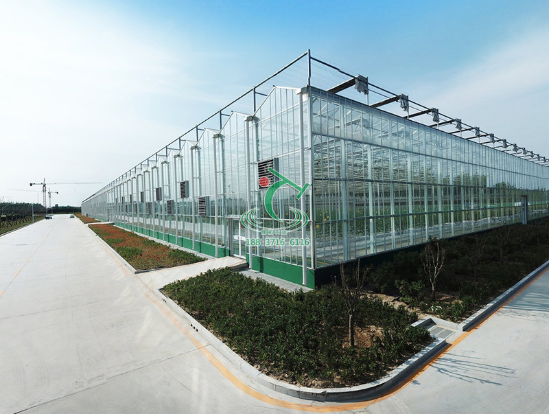 連棟玻璃溫室大棚設(shè)計(jì)建設(shè)供應(yīng)商  連棟玻璃溫室大棚設(shè)計(jì)建設(shè)價(jià)格