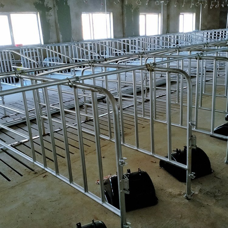 母豬限位欄母豬定位欄落地式定位欄