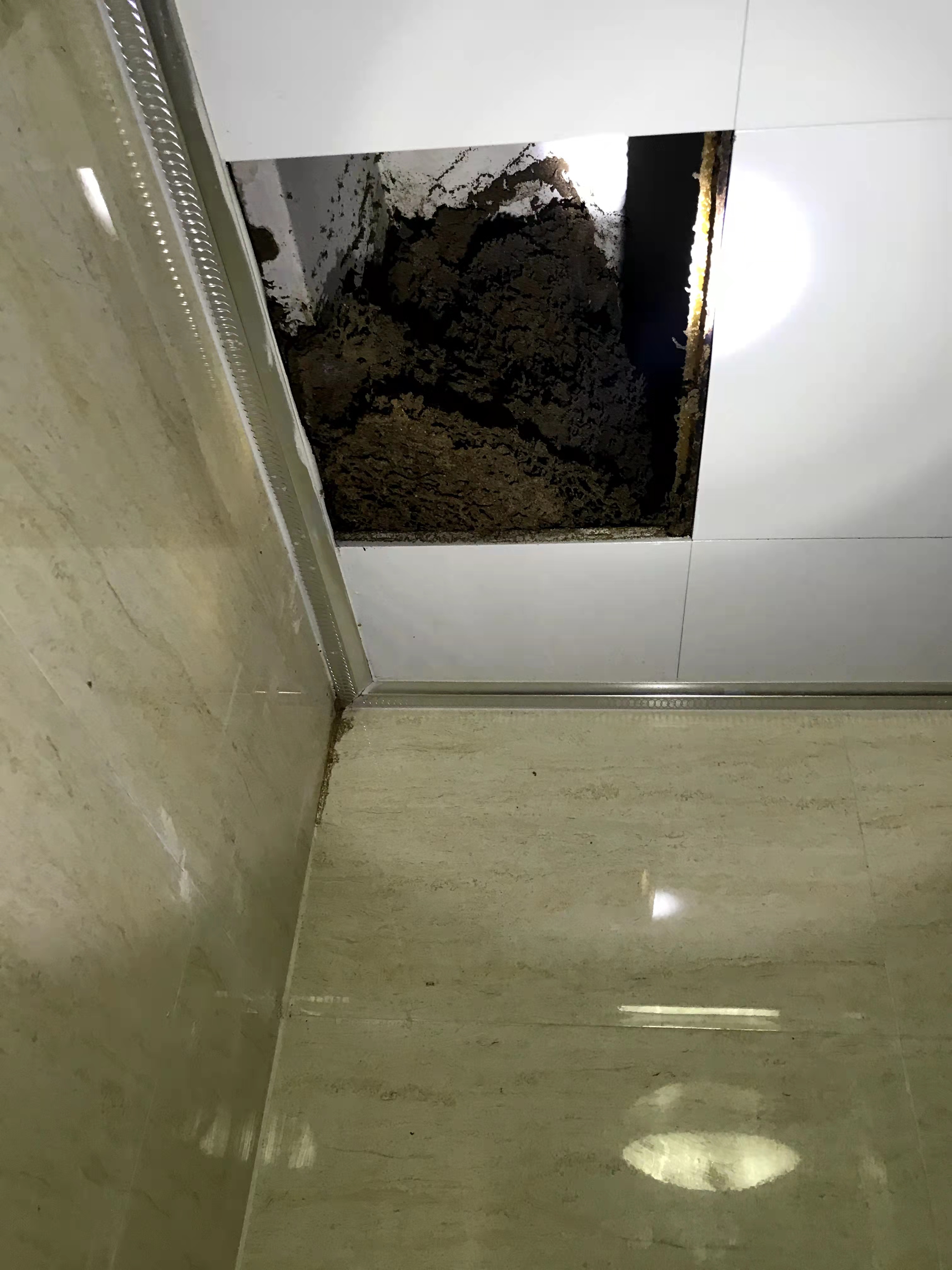 廣州滅白蟻公司、白蟻防治、白蟻滅殺【佛山儒創(chuàng)有害生物防控技術(shù)有限公司】