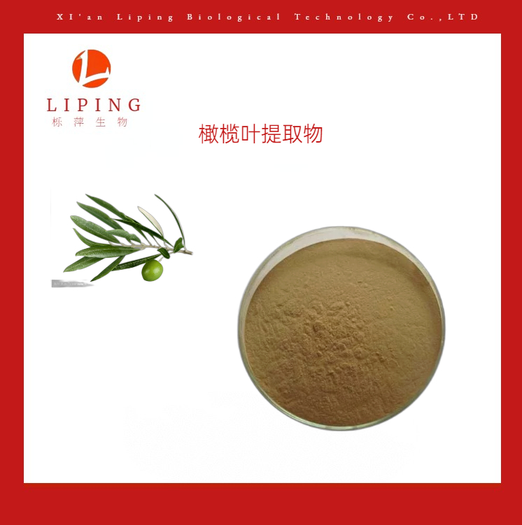 櫟萍生物橄欖提取物橄欖苦甙70%