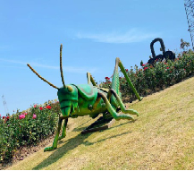 南通仿真動態(tài)昆蟲展租賃廠家 春季人氣昆蟲展供應商