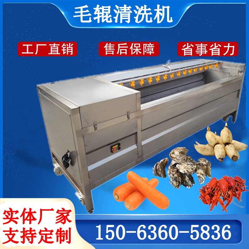 白蘿卜毛輥清洗機(jī) 不銹鋼胡蘿卜清洗機(jī) 土豆清洗去皮機(jī) 洗凈程度高