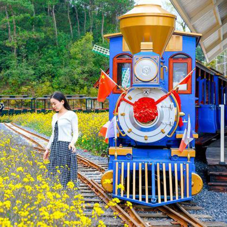 觀光小火車景區(qū)觀光車游樂園大型無動力軌道設(shè)備觀光小火車生產(chǎn)廠家