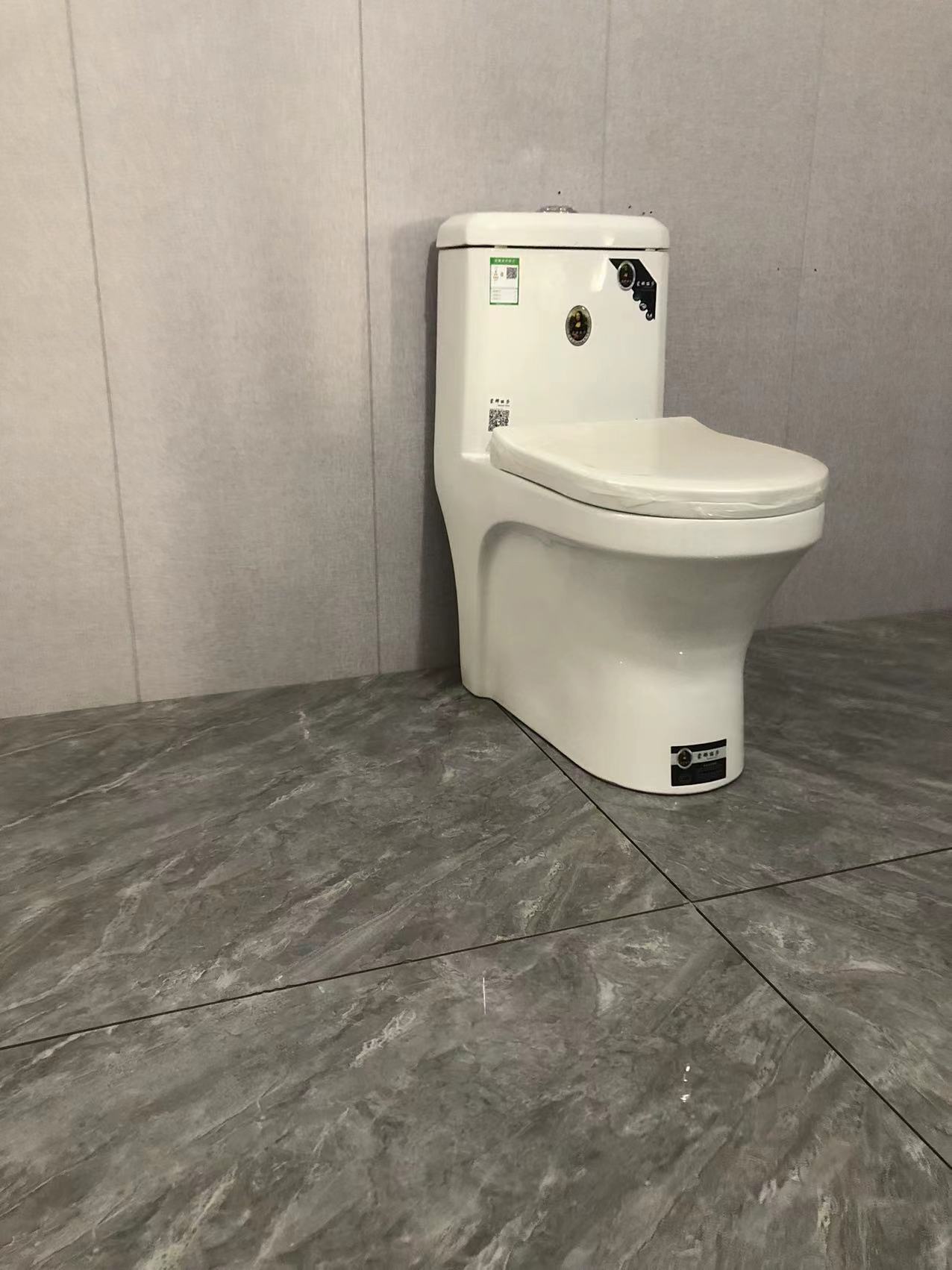 馬桶 坐便器 立便
