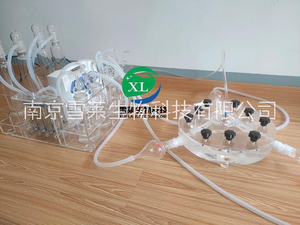 昆蟲嗅覺觀察室/昆蟲嗅覺儀 Y型嗅覺儀XLM3-300 廠家南京雪萊