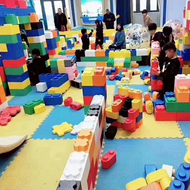 新鄉(xiāng)親子互動積木展租賃 網(wǎng)紅積木展供應(yīng)商