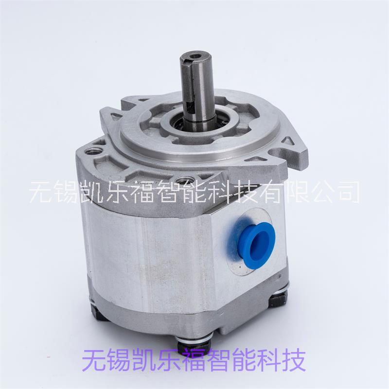 齒輪泵 塔吊油泵 油壓機油泵 農(nóng)機油泵齒輪泵CBWmb-F0.6