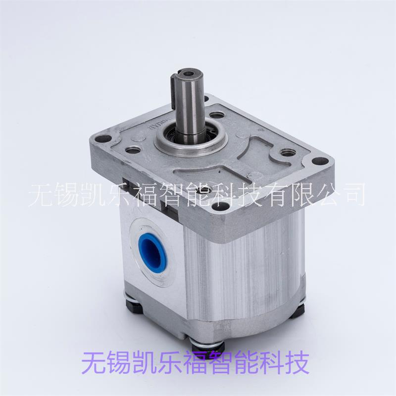 齒輪泵 塔吊油泵 油壓機油泵 農(nóng)機油泵齒輪泵CBWmb-F0.6