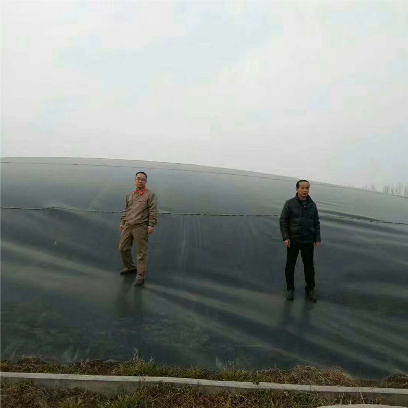 聚乙烯土工膜沼氣池氧化塘豬場養(yǎng)殖基地防滲環(huán)保聚乙烯土工膜 防滲聚乙烯土工膜