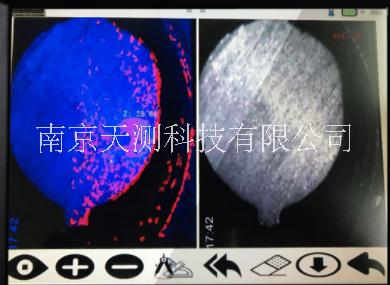 三維掃描內(nèi)窺鏡 價格 ZBL-E510三維掃描內(nèi)窺鏡批發(fā)價格 南京價格