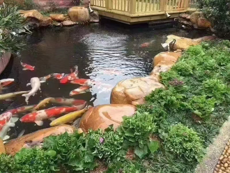 蘇州 制作假山石工程報(bào)價(jià)_黃蠟石假山工程價(jià)格