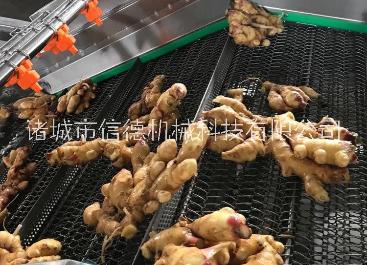 高壓水流蔬菜清洗機廠家  氣泡清洗機凈菜加工設(shè)備清洗風(fēng)干線