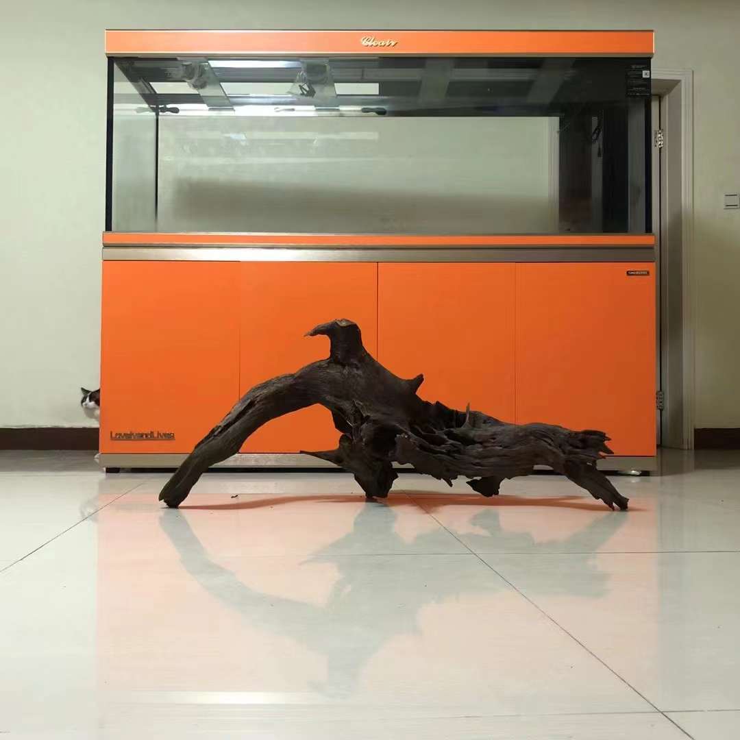 廣東珠海護(hù)理魚(yú)缸服務(wù)- 魚(yú)缸清洗價(jià)格-聯(lián)系電話(huà)