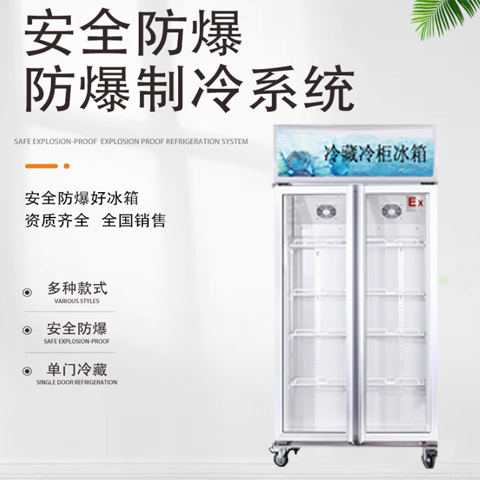 雙門防爆冷藏冰箱，河北防爆冰箱