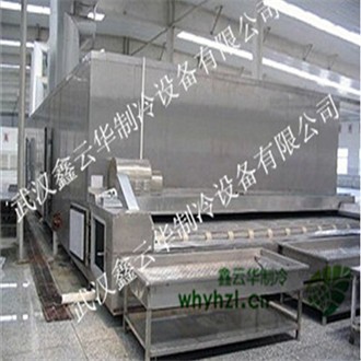 【行情】平網(wǎng)速凍價格_多少錢_報價_廠家_生產(chǎn)供應(yīng)【武漢鑫云華制冷設(shè)備有限公司】