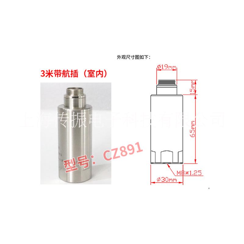 一體化振動(dòng)變送器 CZ891傳感器