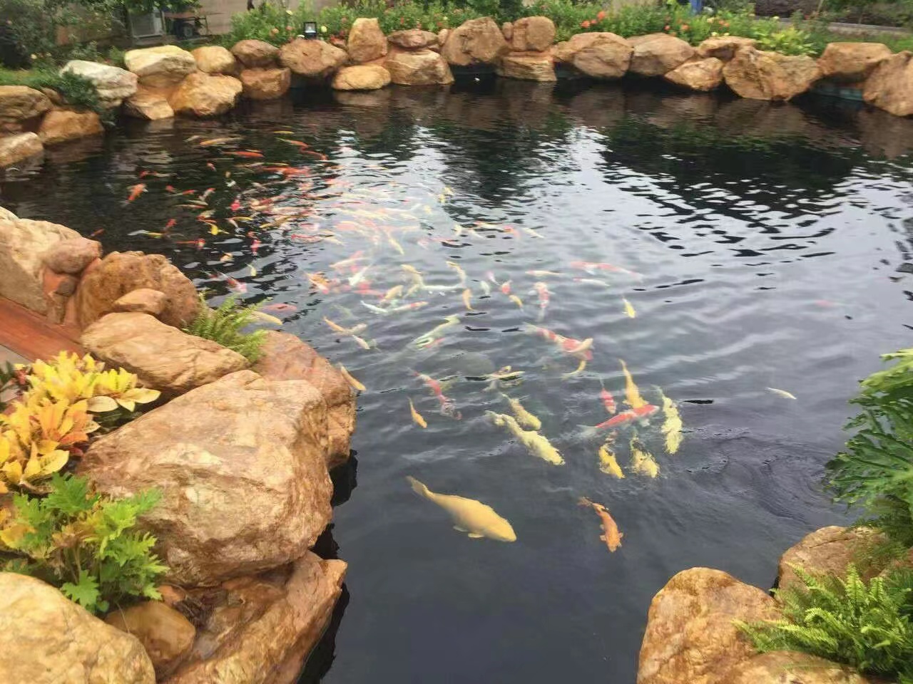 蘇州 制作假山石工程報(bào)價(jià)_黃蠟石假山工程價(jià)格