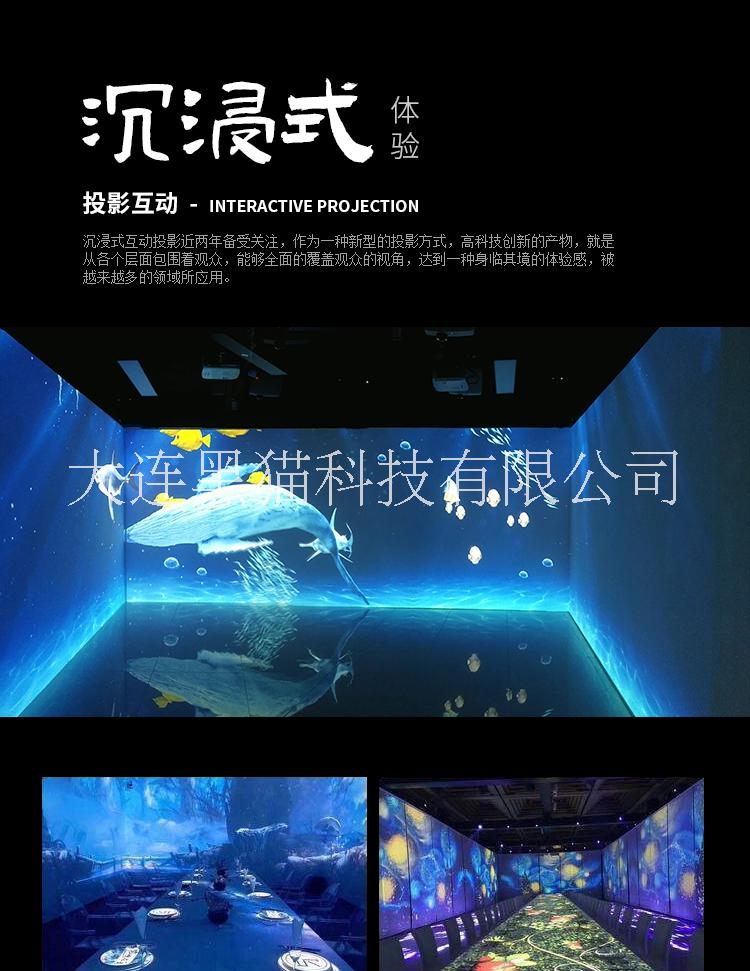 3d立體投影 互動(dòng)投影 全息投影 弧幕環(huán)幕球幕,碗幕融合