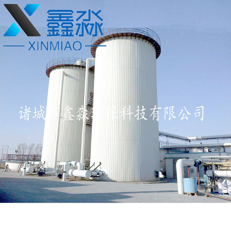 XM-什么是厭氧反應(yīng)器