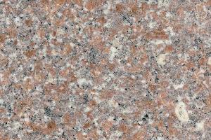 五蓮紅報價  五蓮紅哪里有