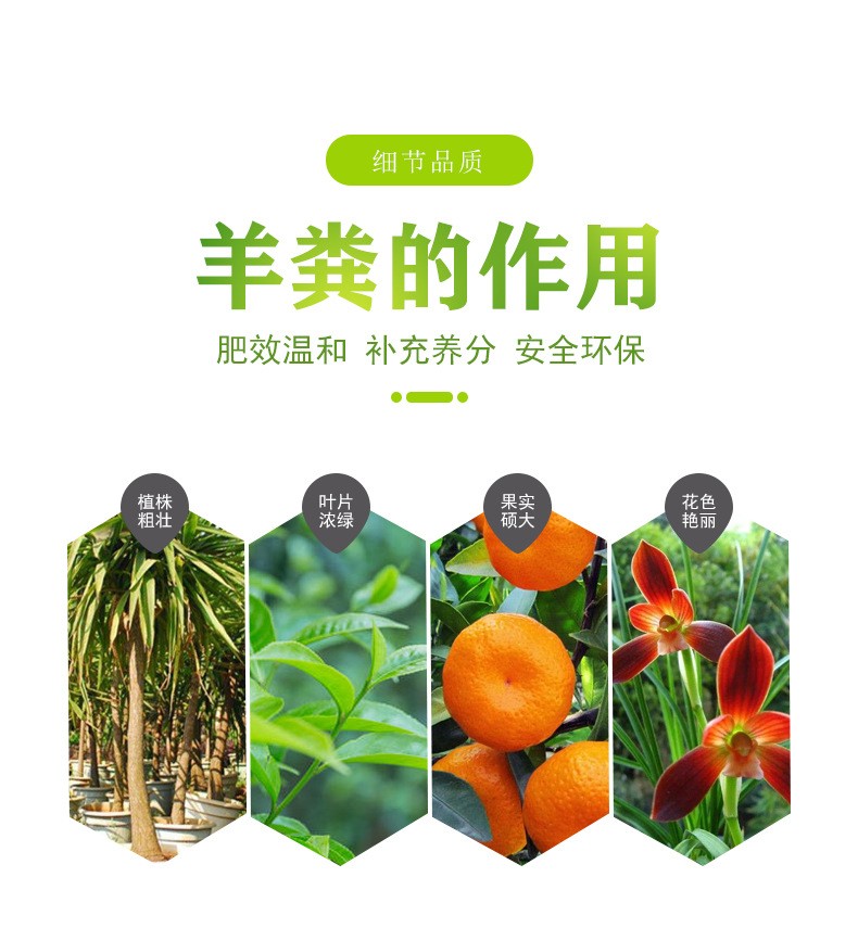 發(fā)酵有機(jī)肥發(fā)酵羊糞有機(jī)肥改善土壤粉末顆粒葡萄肥