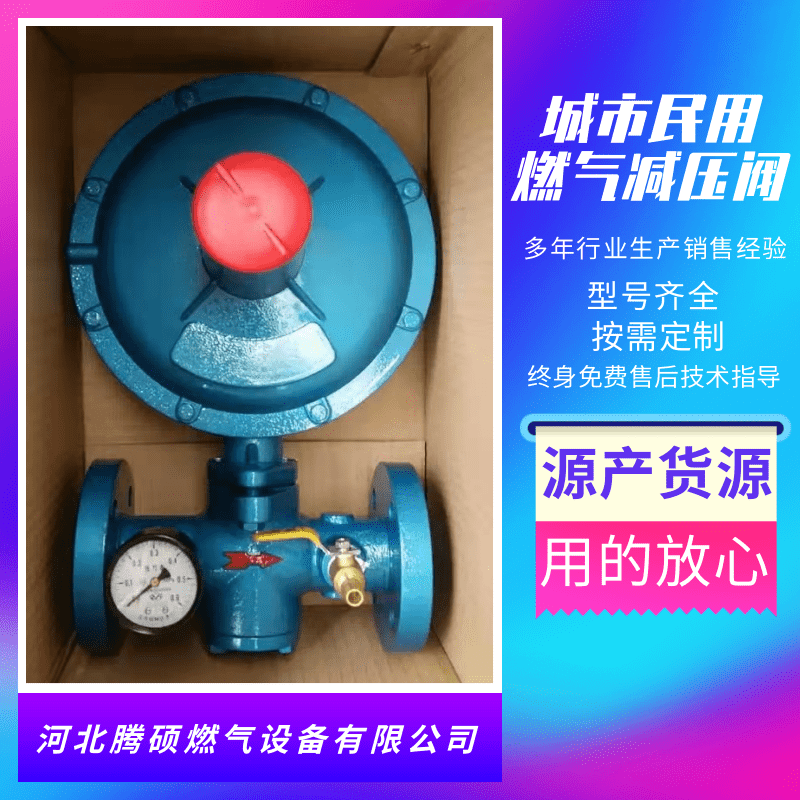 城市樓房燃?xì)鉁p壓設(shè)備生產(chǎn)廠家 工業(yè)燃?xì)?騰碩燃?xì)庠O(shè)備