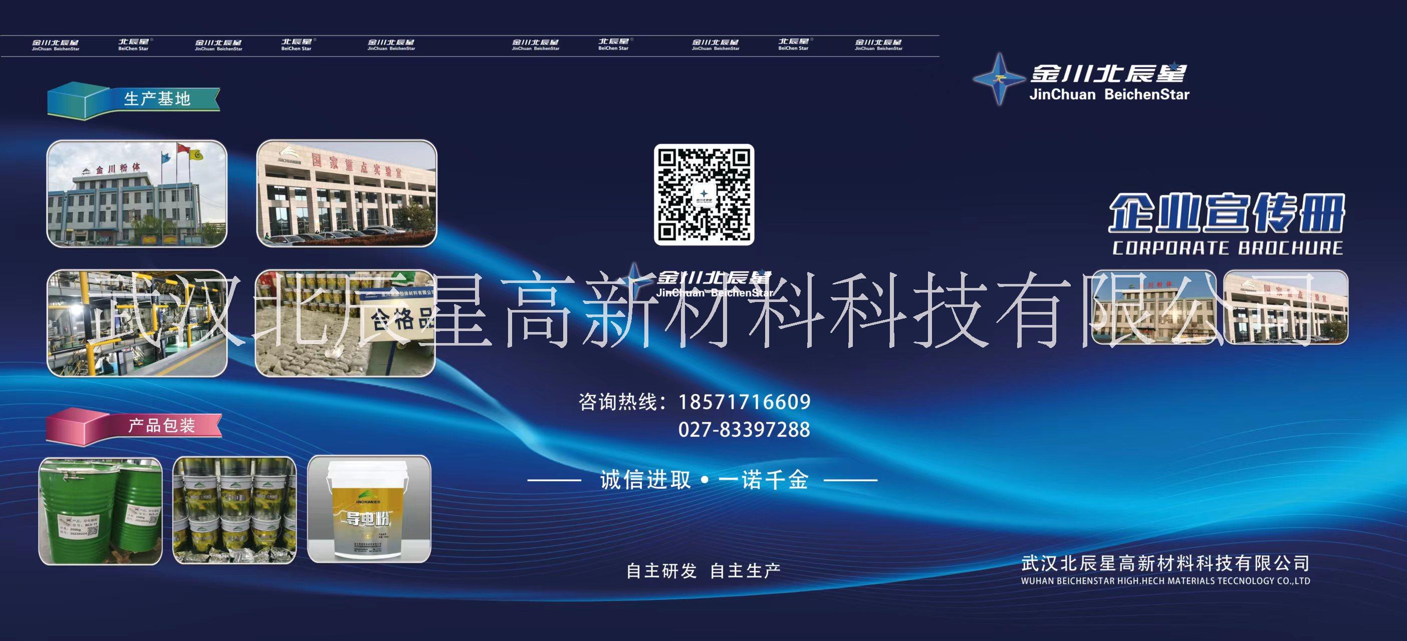 甘肅鏈球狀鎳粉 批發(fā)商【武漢北辰星高新材料科技有限公司】 鏈球鎳粉