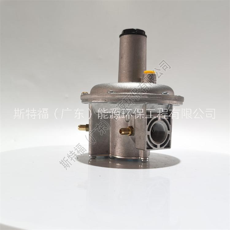 意大利進(jìn)口FGDR20朱麗安尼燃?xì)鉁p壓閥供應(yīng)工廠價(jià)0.5bar