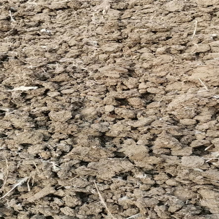 干雞糞批發(fā)商_生產供應_批發(fā)市場_廠商【石家莊苗愛發(fā)生態(tài)農業(yè)科技有限公司】