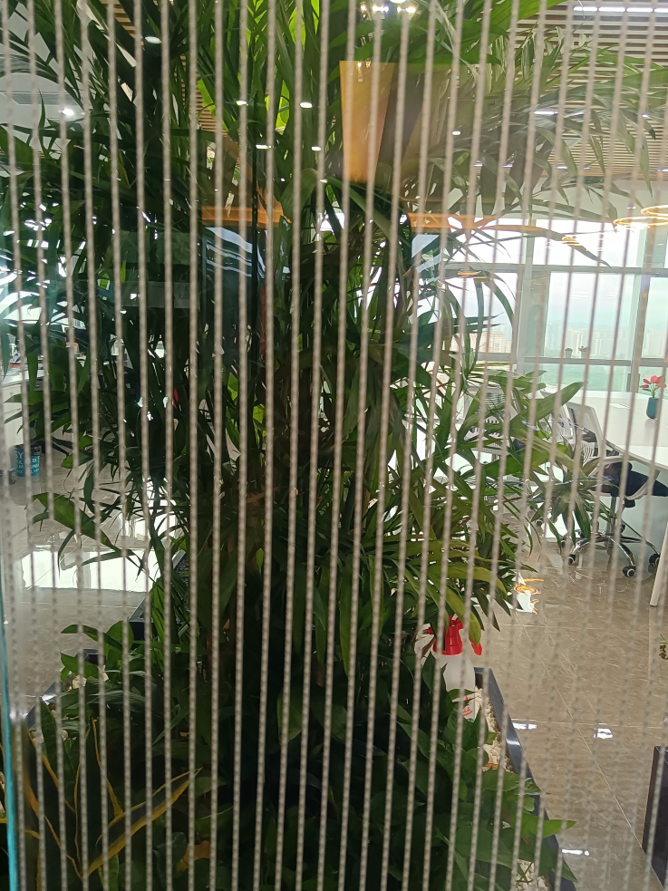 LED透明顯示屏玻璃-批發(fā)-定做-價格