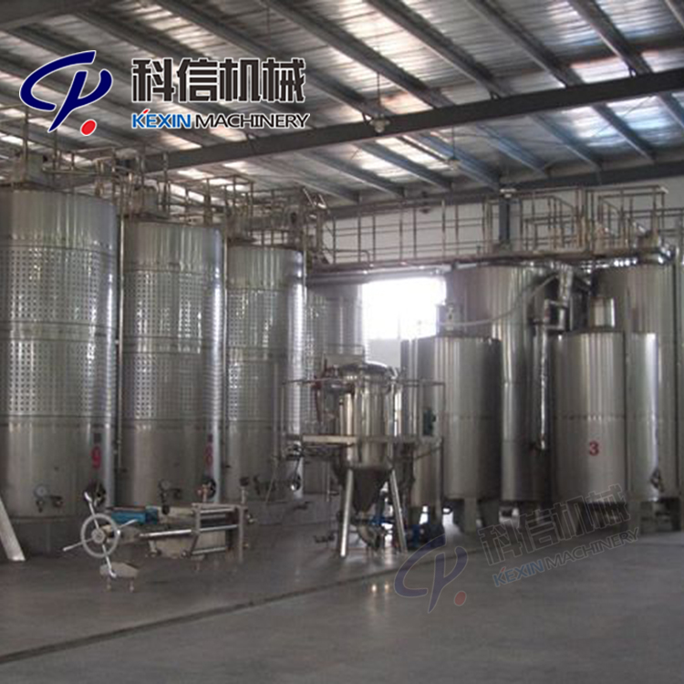 全自動(dòng)沙棘飲料生產(chǎn)設(shè)備沙棘深加工機(jī)器