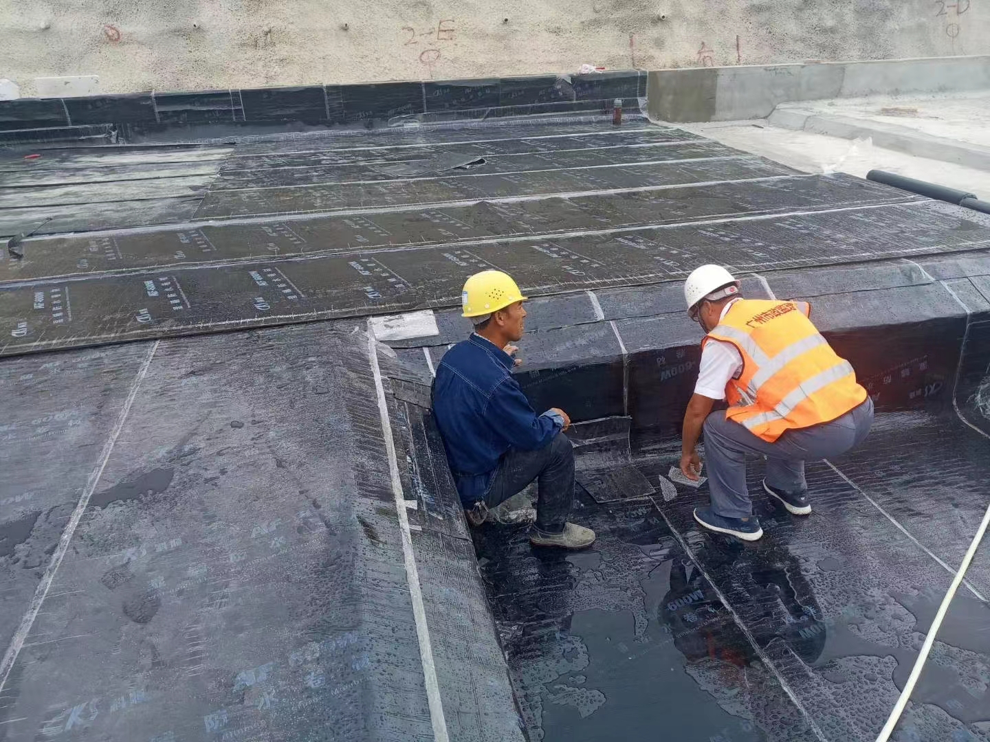 廣東汕頭屋面卷材防水施工公司哪家靠譜