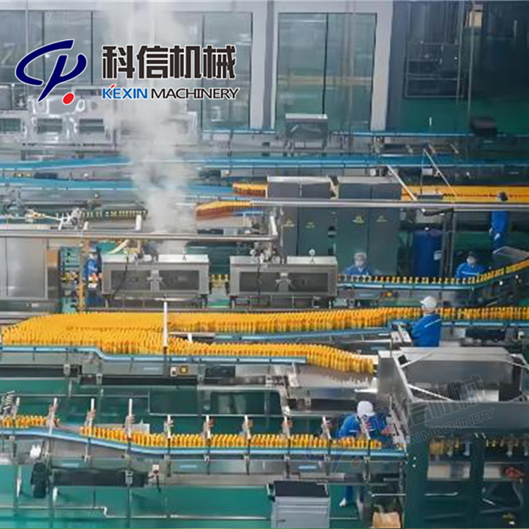 全自動(dòng)沙棘飲料生產(chǎn)設(shè)備沙棘深加工機(jī)器