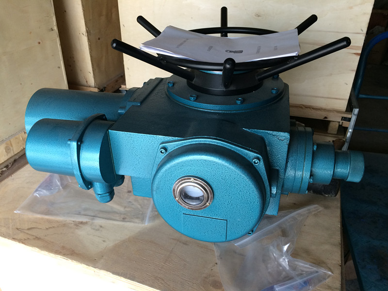 DZW90-24-A00-DS1電動執(zhí)行器