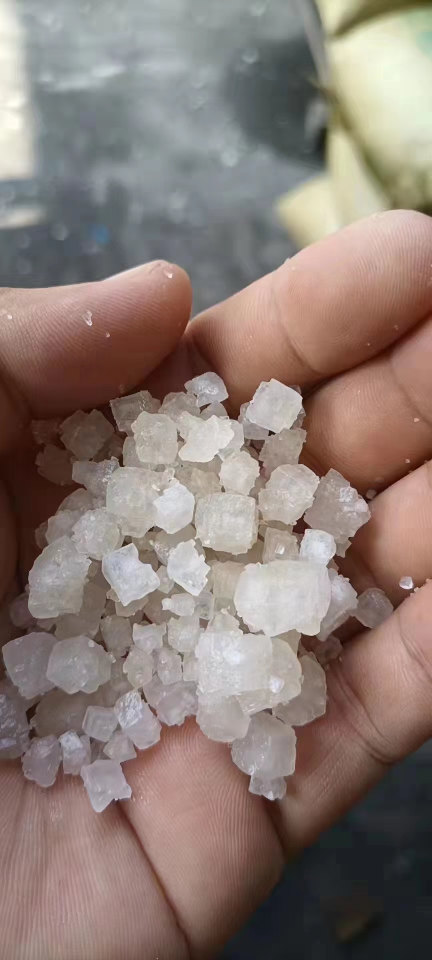 日曬鹽-批發(fā)-價格  產(chǎn)地自銷 日曬鹽