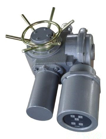 供應(yīng) DZW30-24-A00-WK電動執(zhí)行器