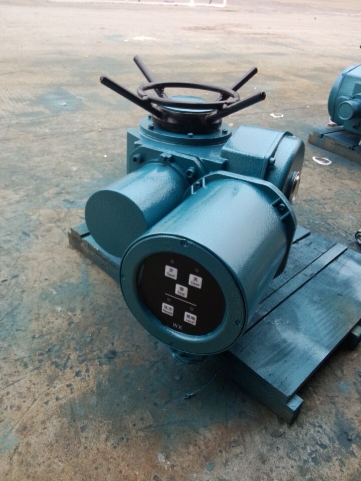 供應(yīng) DZW30-24-A00-WK電動執(zhí)行器