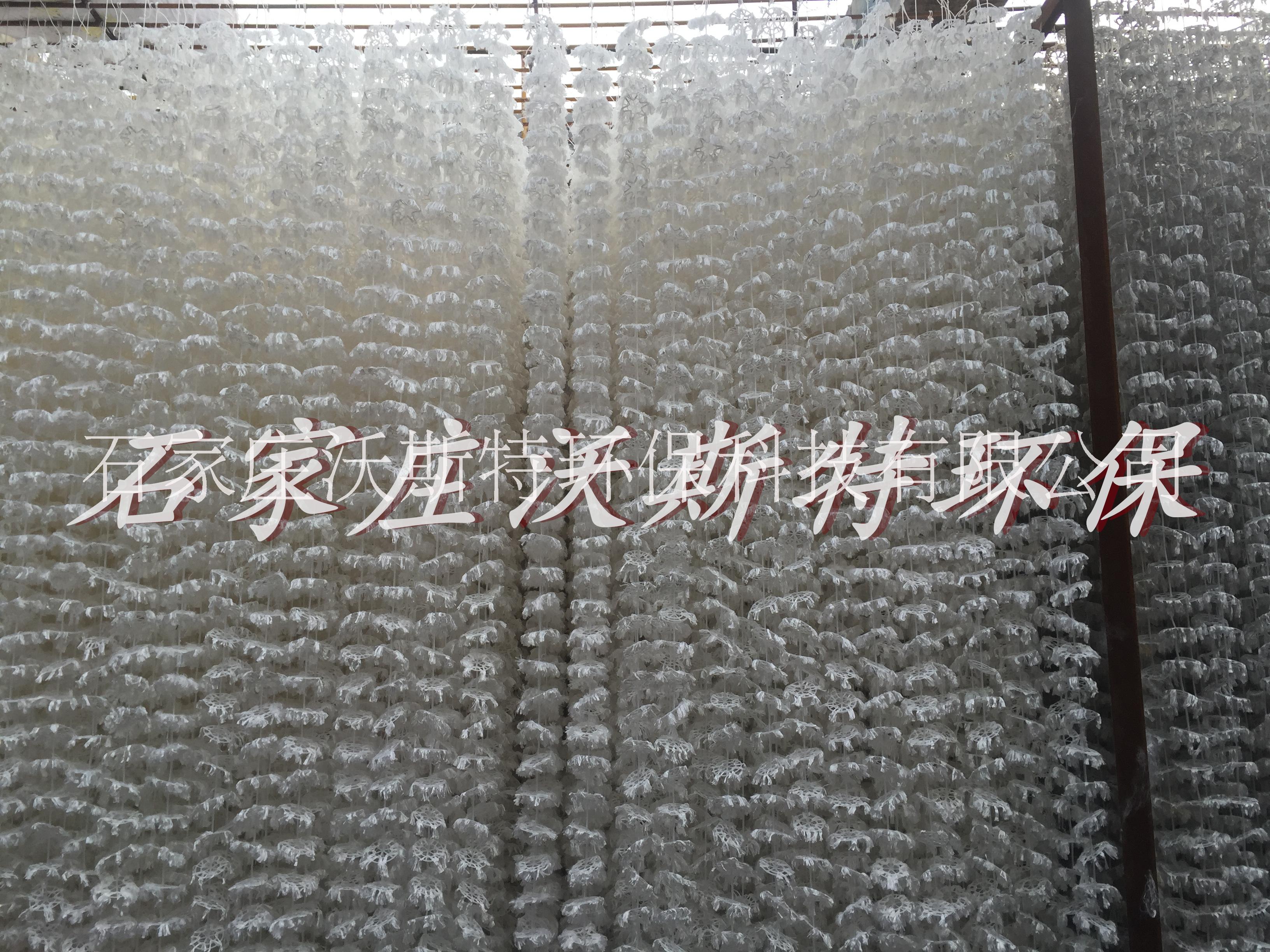 組合生物填料好氧池懸掛式組合填料廠家