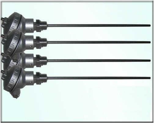 安徽天康微型熱電偶（阻）廠家WRE-203S