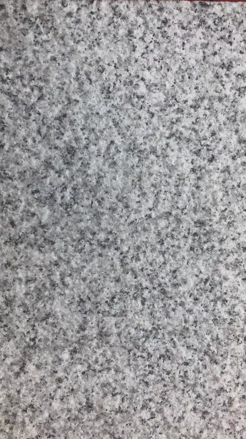 湖北麻城芝麻白603