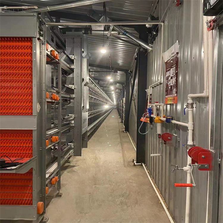 大框架蛋雞籠養(yǎng)5萬只雞的雞籠 四層熱鍍雞籠