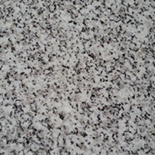 芝麻白多少錢 芝麻白生產廠 芝麻白報價