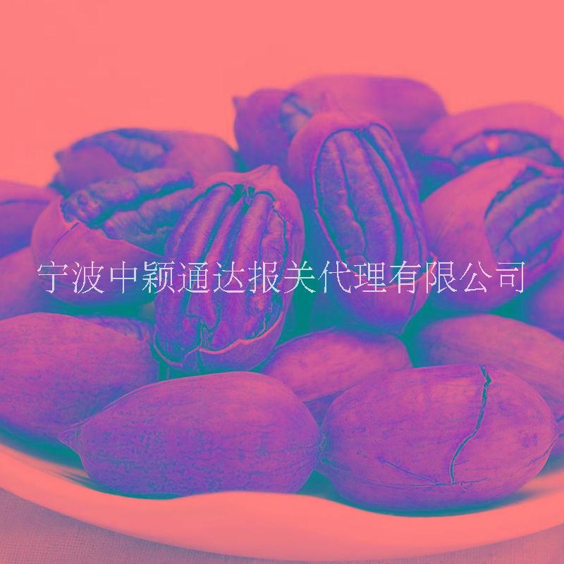 河南鄭州進(jìn)口墨西哥碧根果食品報(bào)關(guān)的資料有